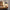 Trendy tafellampen met moderne uitstraling – Arvus