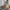 Trendy Rattan Vloerlamp voor Moderne Interieurs – Zanova