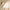 Draadloze Wandlamp met 360° Rotatie en Warm Licht – Illuma